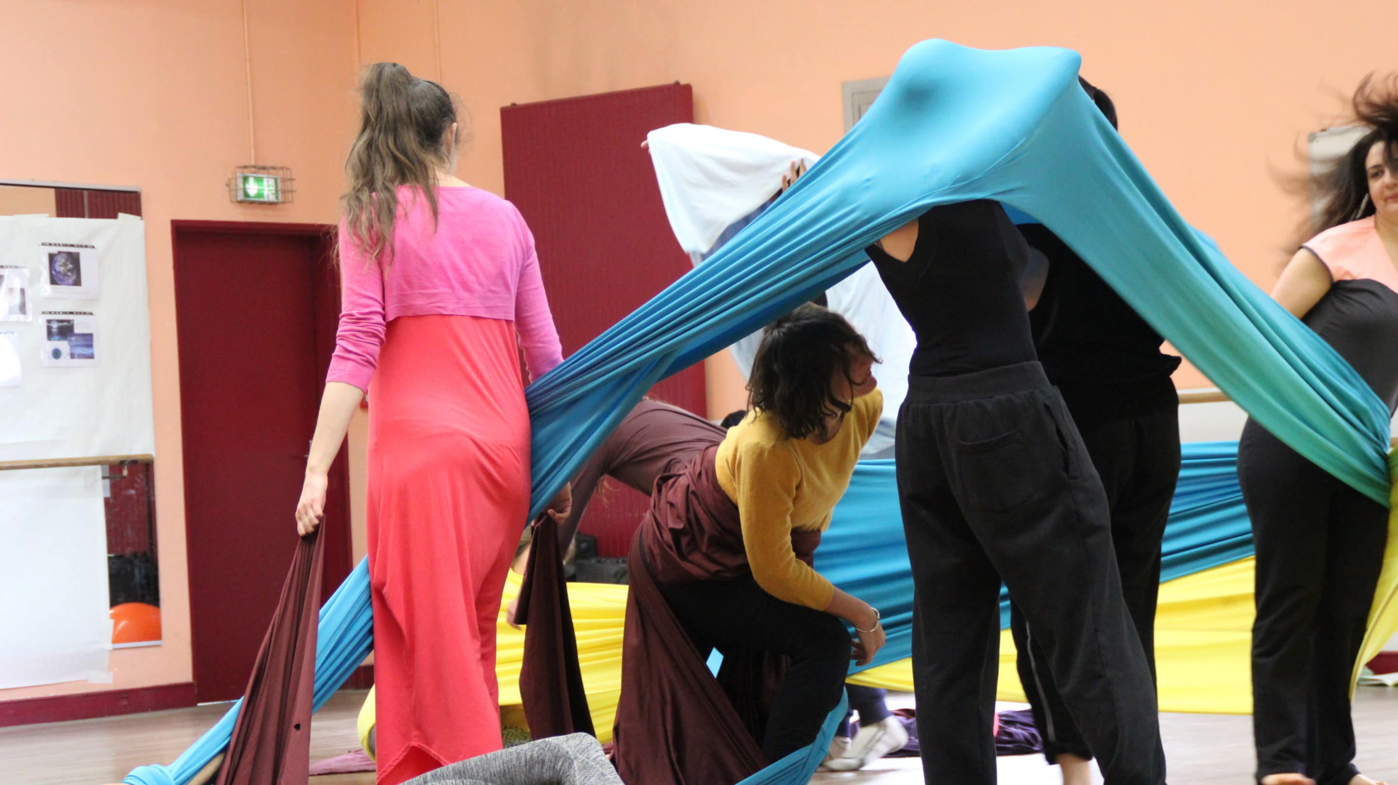 IMG_3347 Formation danse et body-mind centering