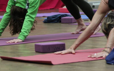 Formation d’anatomie pour le yoga – Module Les muscles